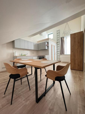 Radbuza Apartment